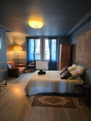 Appartement Chic & Baroque 5 min centre ville et Bord de Vienne